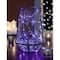 Apothecary &#x26; Company&#x2122; Decorative String Lights, Purple